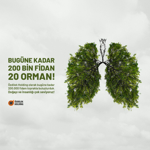 Bugüne Kadar 20 Orman 200.00 Fidan